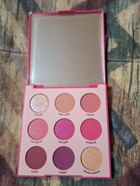 ColourPop “Ooh La La!” 9-Pan Eyeshadow Palette 💗 Pink Monochrome